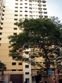 pasir-ris-street-71 photo thumbnail #7